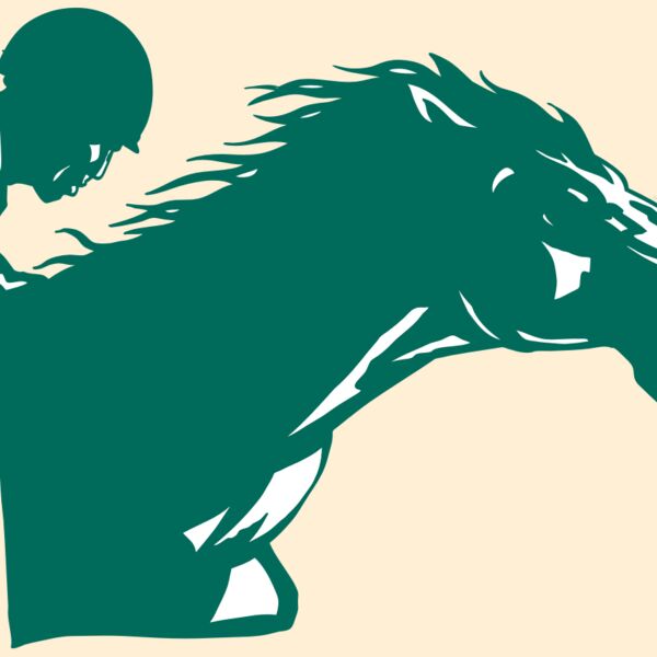 AR EQUEST 19 RC Thumbnail