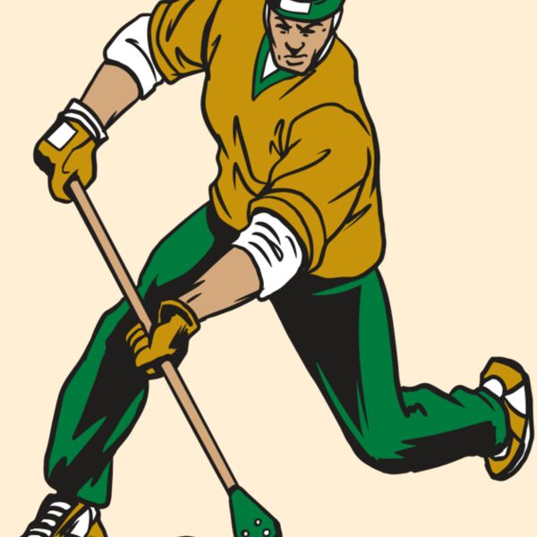 AR20 BROOMBALL 12 RQC Thumbnail