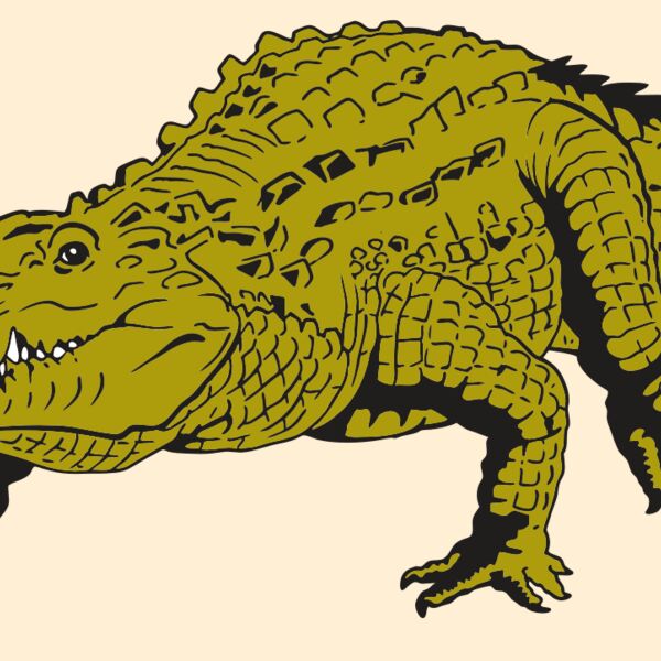 AR GATOR 13 RQC Thumbnail