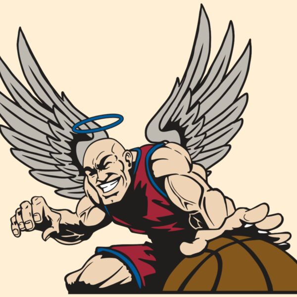 AR17 ANGEL BSKT 04 RQC Thumbnail