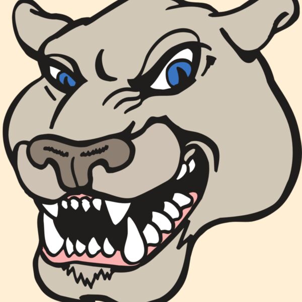 AR5 COUGAR 10 RQC Thumbnail