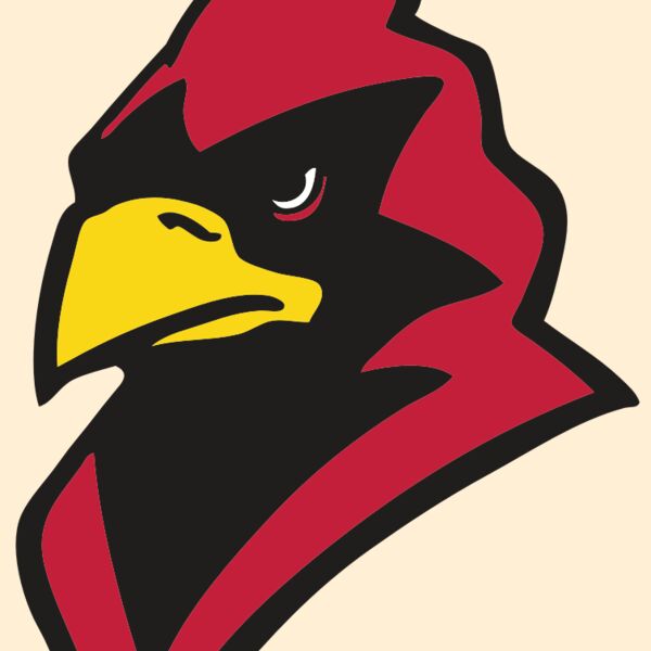 AR CARDINAL 22 RC Thumbnail