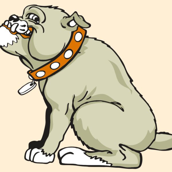 AR BDOG 26 RC Thumbnail