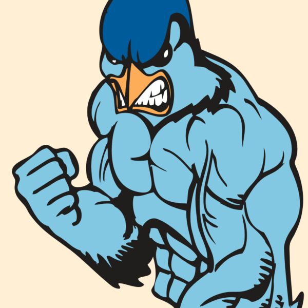 BAW BLUEJAY 13 RC Thumbnail