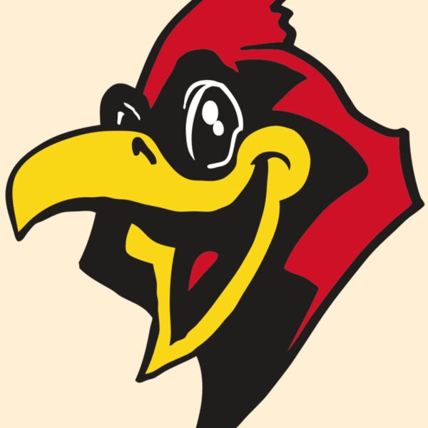 AR CARDINAL 36 RC Thumbnail