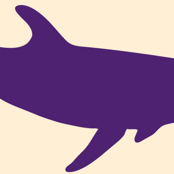 AR DOLPIN 12 RC Thumbnail