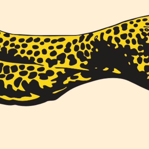 AR CHEETAH 12 RC Thumbnail