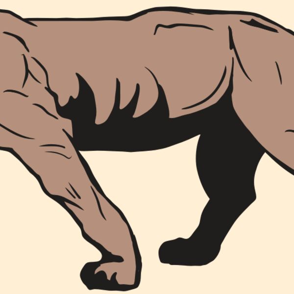 AR10 PANTHER 04 RQC Thumbnail