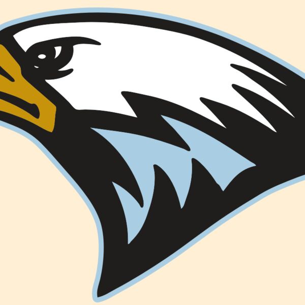 AR EAGLE 27 RC Thumbnail