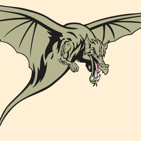 BAW DRAGON 12 RC Thumbnail