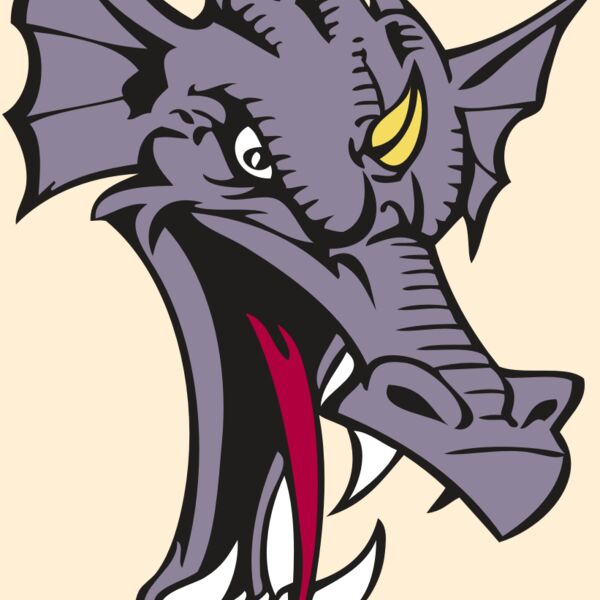 BAW DRAGON 05 RC Thumbnail