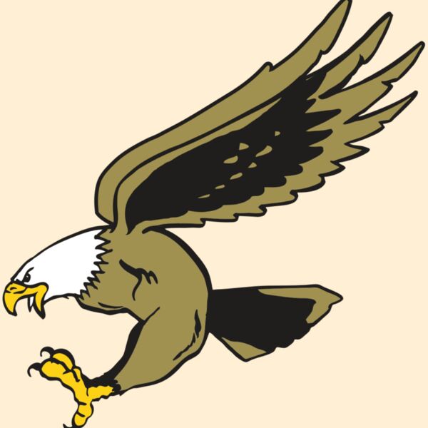 AR EAGLE 23 RC Thumbnail