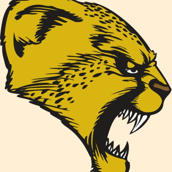 BAW CHEETAH 13 RC Thumbnail