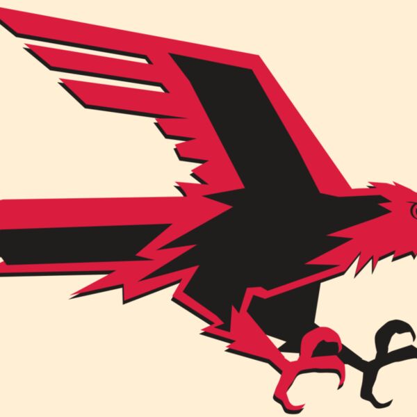 AR9 FALCON 02 RQC Thumbnail