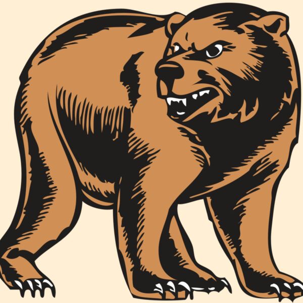 BAW BEAR 09 RC Thumbnail