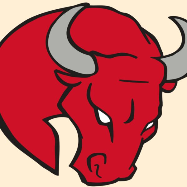 AR BULL 24 RC Thumbnail