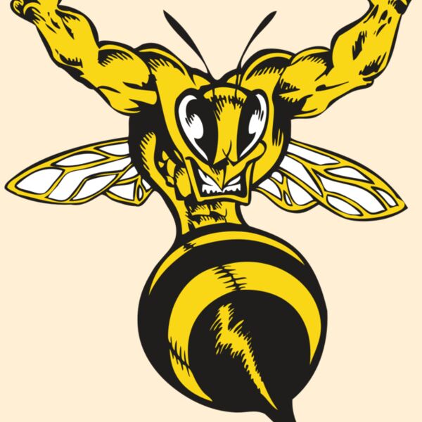 BAW BEE 04 RC Thumbnail