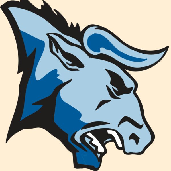 AR BULL 20 RC Thumbnail