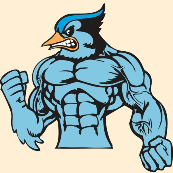 BAW BLUEJAY 16 RC Thumbnail