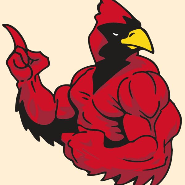 AR CARDINAL 28 RC Thumbnail