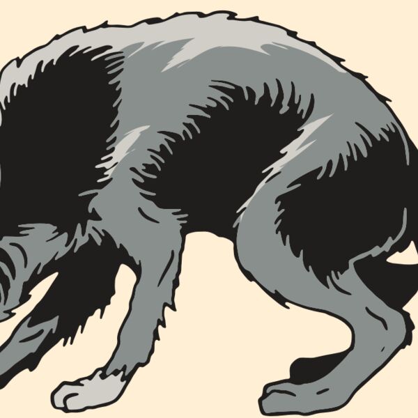 AR32 COYOTE 05 RQC Thumbnail