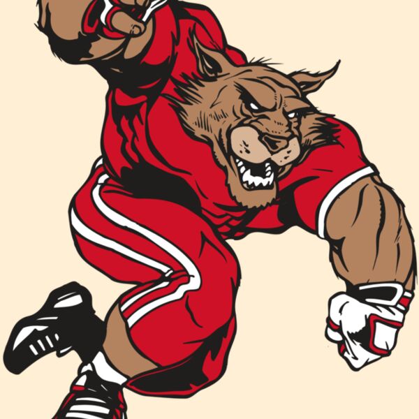 AR WILDCAT 32 RC Thumbnail