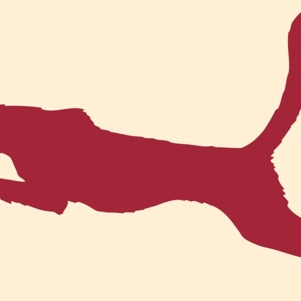 AR CHEETAH 11 RC Thumbnail