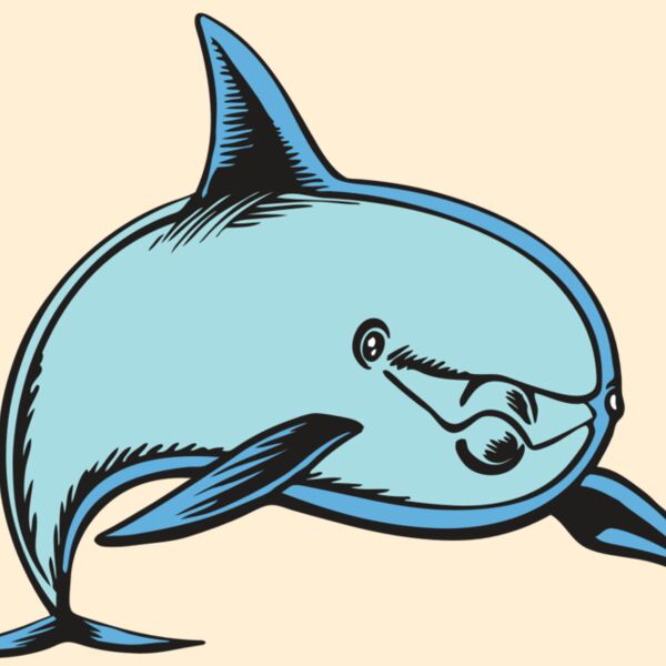 BAW DOLPHIN 04 RC Thumbnail