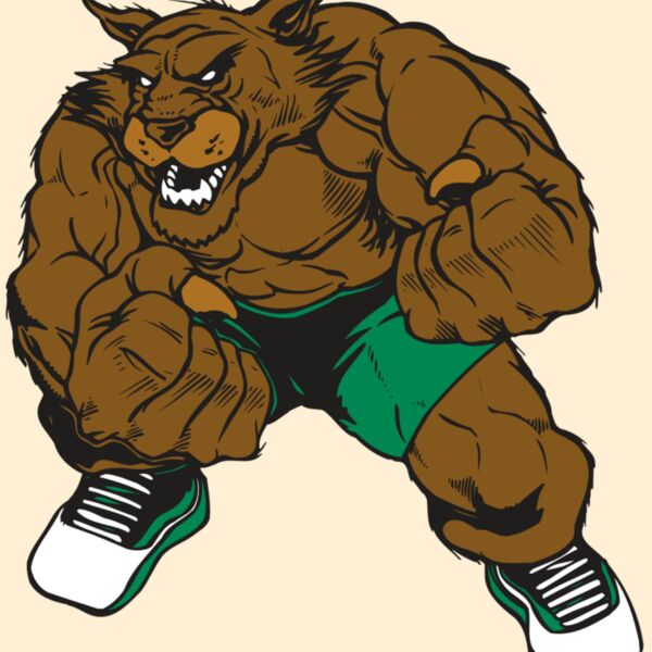 AR WILDCAT 45 RC Thumbnail