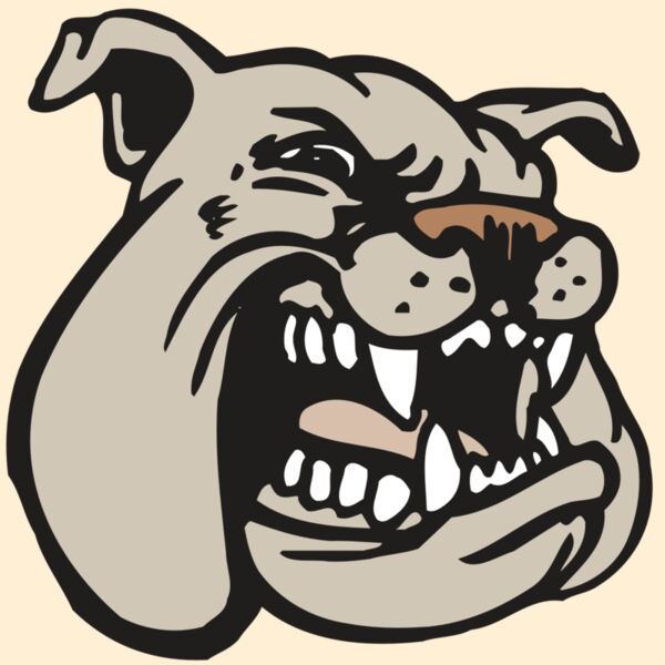 AR BDOG 38 RC Thumbnail