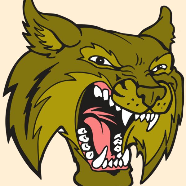 AR5 BOBCAT 20 RQC Thumbnail