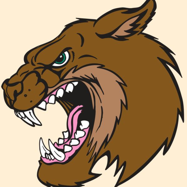 AR5 BOBCAT 18 RQC Thumbnail