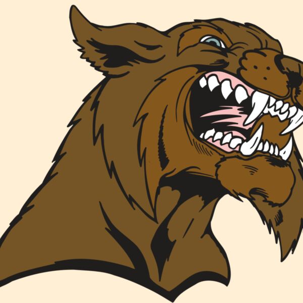 AR5 BOBCAT 21 RQC Thumbnail