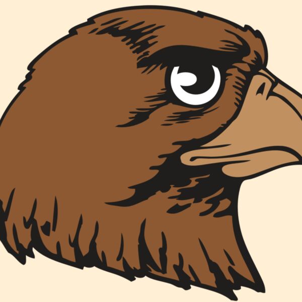 BAW HWK FLCN 05 RC Thumbnail