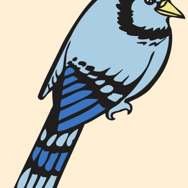 BAW BLUEJAY 08 RC Thumbnail