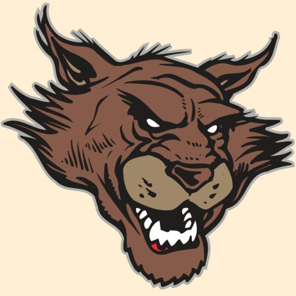 AR WILDCAT 11 RC Thumbnail