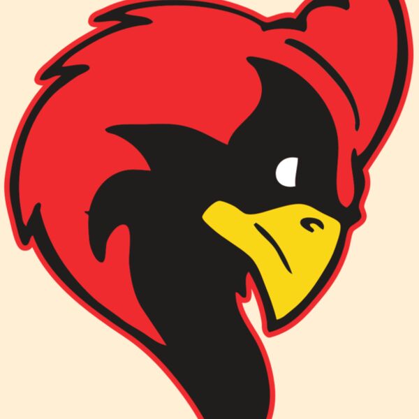 AR CARDINAL 24 RC Thumbnail