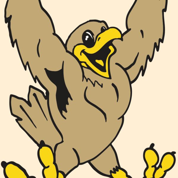 AR EAGLE 21 RC Thumbnail