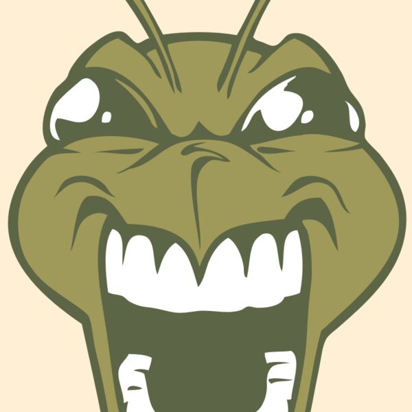 BAW BEE 13 RC Thumbnail