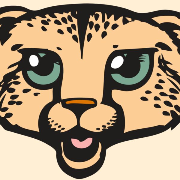 BAW CHEETAH 18 RC Thumbnail