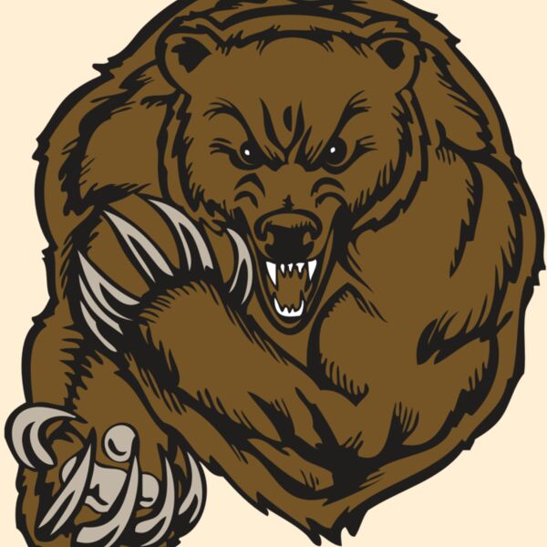 BAW BEAR 07 RC Thumbnail