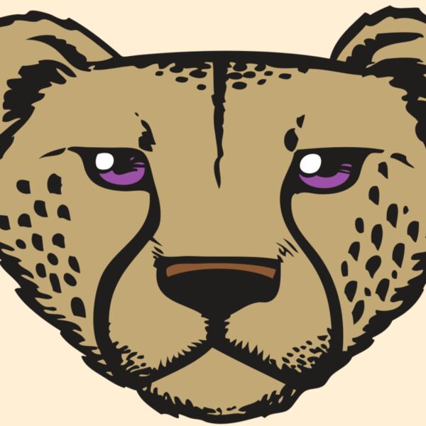 BAW CHEETAH 14 RC Thumbnail