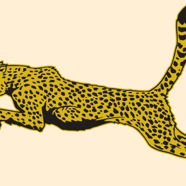 AR CHEETAH 10 RC Thumbnail