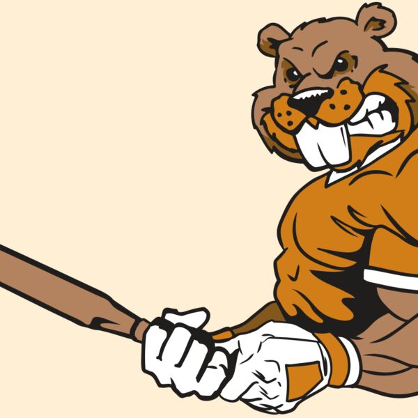 AR4 BEAVER 05 RQC Thumbnail