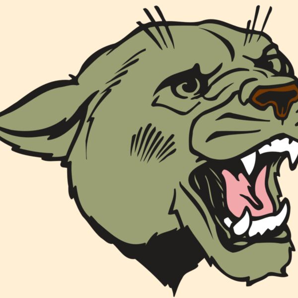 AR COUGAR 40 RC Thumbnail