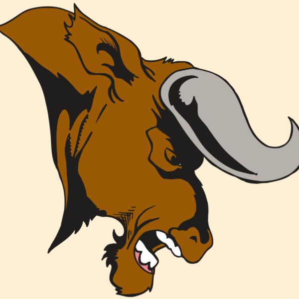 AR5 BULL 07 RQC Thumbnail