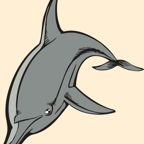 BAW DOLPHIN 03 RC Thumbnail