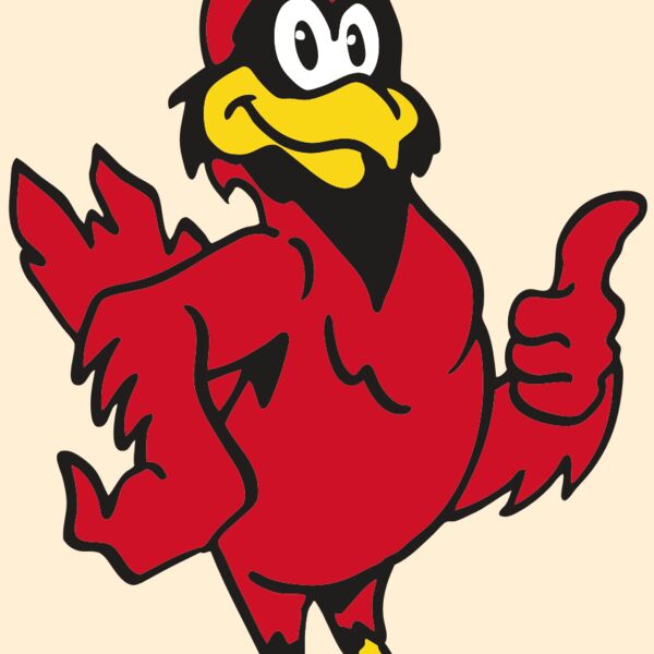 AR CARDINAL 26 RC Thumbnail