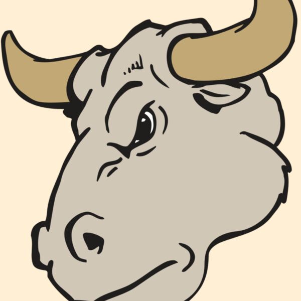 AR BULL 25 RC Thumbnail