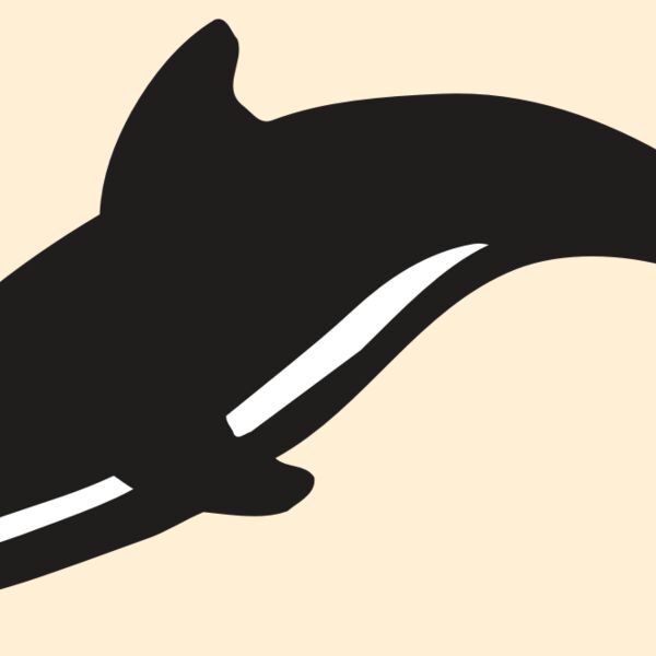 AR DOLPIN 16 RC Thumbnail